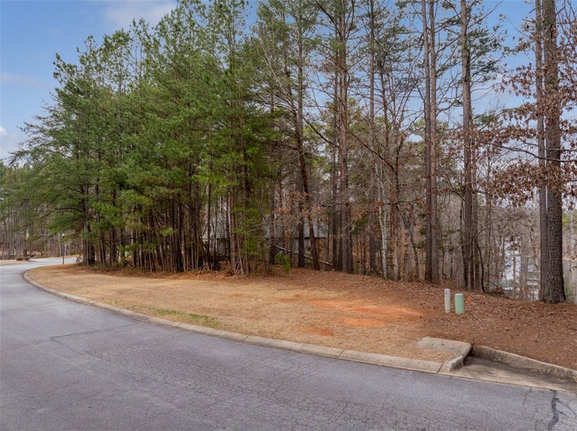 Waterfront Lot with Boat Slip on the Shores of Lake Keowee SOLD - photo 11