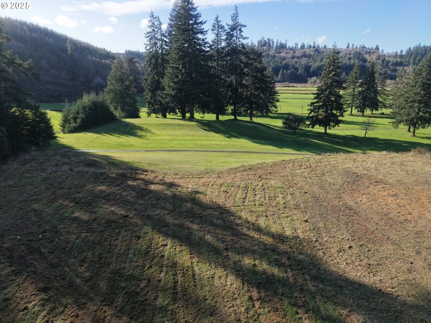 Beautiful 2.87-Acre Golf Course Lot in Ironwood Estates - - photo 11