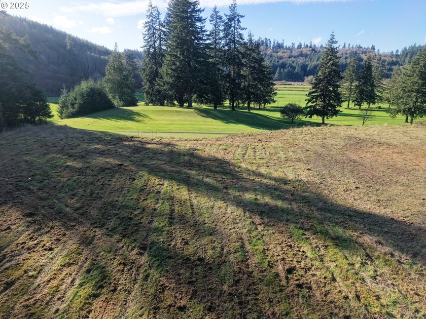 Beautiful 2.87-Acre Golf Course Lot in Ironwood Estates - - photo 12
