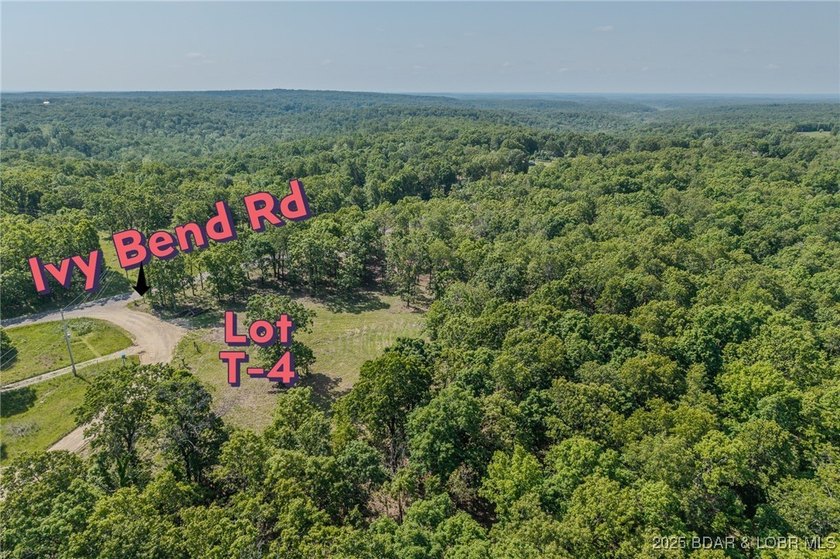 Excellent building lot consisting of 3.01 acres located on Ivy - photo 14