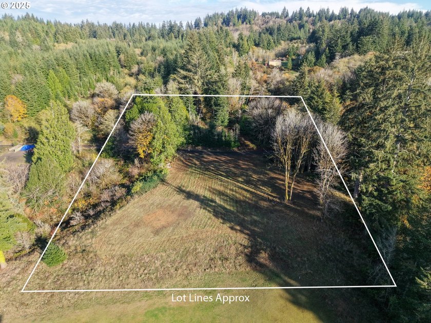 Beautiful 2.87-Acre Golf Course Lot in Ironwood Estates - - photo 14