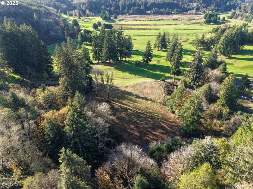 Beautiful 2.87-Acre Golf Course Lot in Ironwood Estates - - photo 19