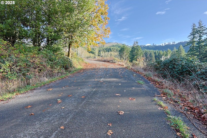 Beautiful 2.87-Acre Golf Course Lot in Ironwood Estates - - photo 23