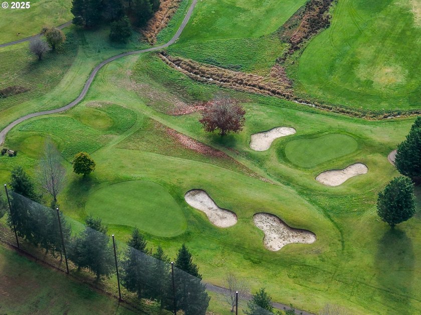 Beautiful 2.87-Acre Golf Course Lot in Ironwood Estates - - photo 26