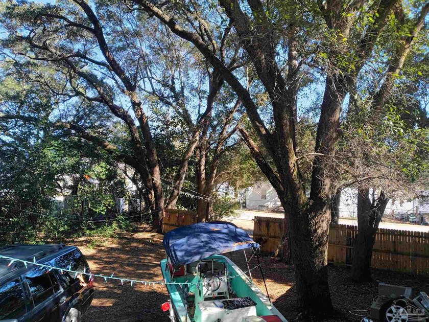 Beautiful oak trees, 10 minutes from downtown Pensacola....3/2 - photo 3