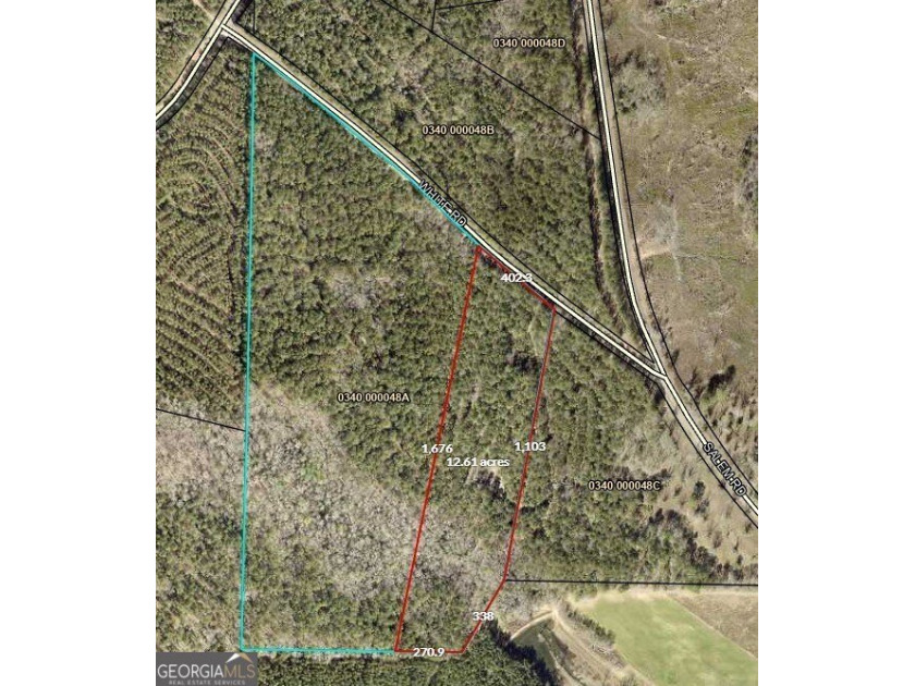 For sale 12.35 acres featuring a gorgeous mix of mature pines - photo 2