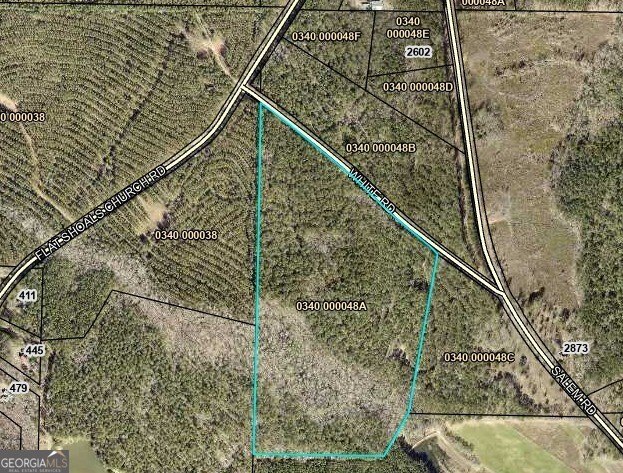 For sale 12.35 acres featuring a gorgeous mix of mature pines - photo 6
