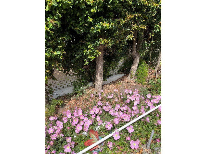 WELCOME TO POPULAR SAN RAFAEL ESTATES MOBILE HOME PARK.55+SENIOR - photo 3