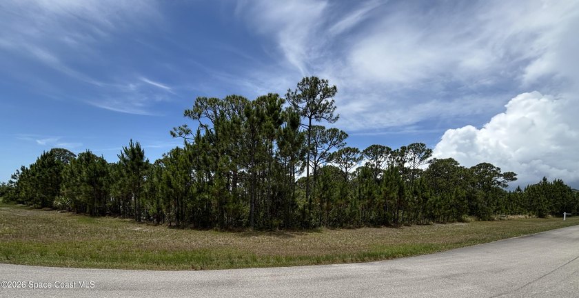 VACANT LAND = Build your New Home = In Desirable Deed Restricted - photo 4