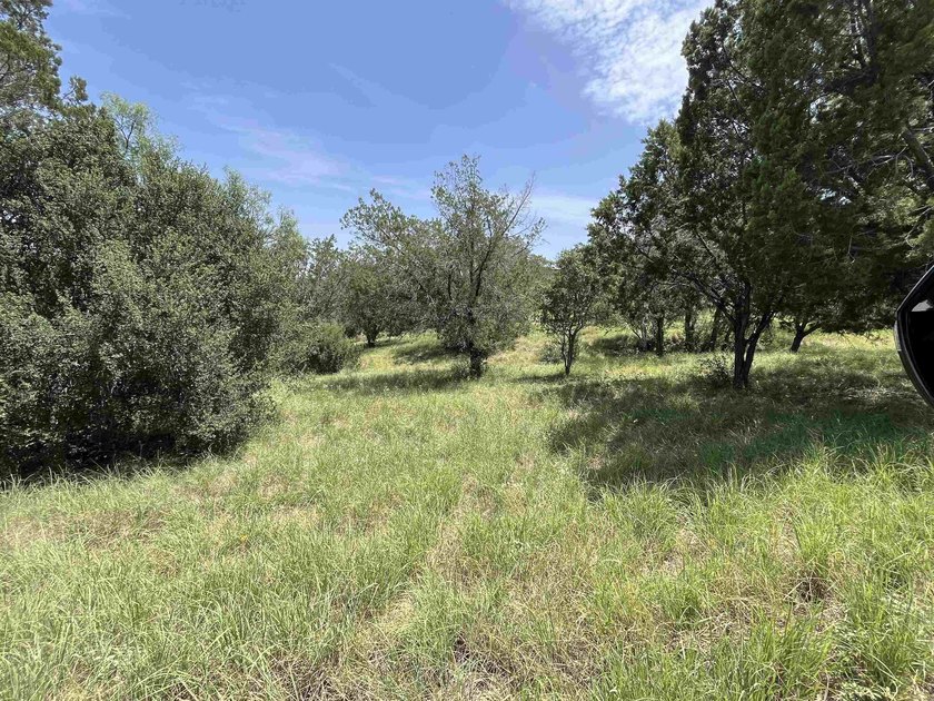Excellent buildable homesite in desirable Horseshoe Bay West! - photo 2