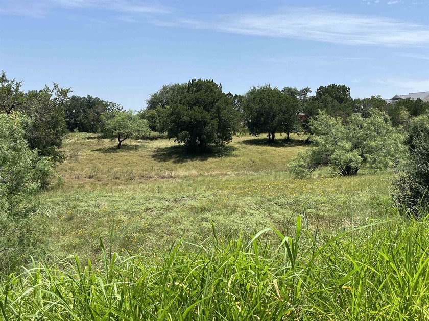 Panoramic million-dollar Lake LBJ views for just $75,000? Yes - photo 3
