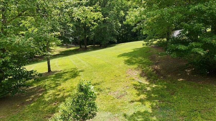 This lot provides an excellent opportunity for mountain living - photo 11