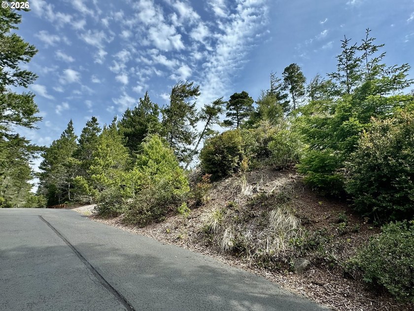 Tucked away on a private road in desirable Heceta South, this 0 - photo 2