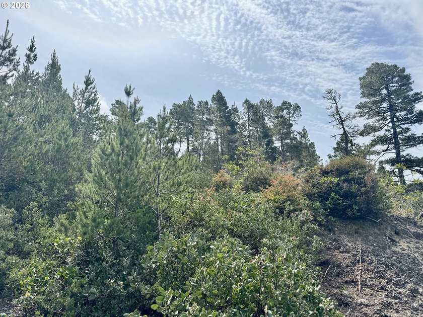 Tucked away on a private road in desirable Heceta South, this 0 - photo 4