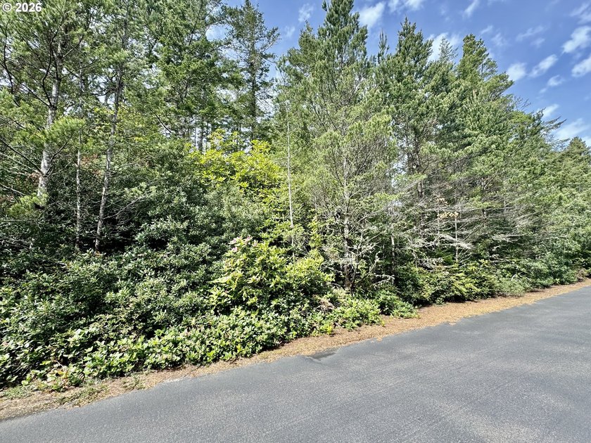 Tucked away on a private road in desirable Heceta South, this 0 - photo 5
