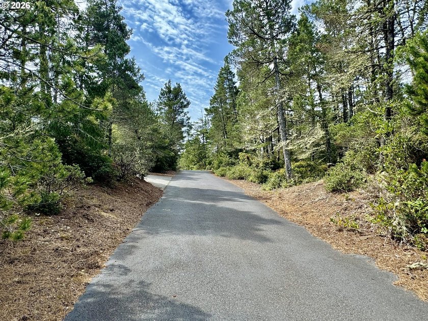 Tucked away on a private road in desirable Heceta South, this 0 - photo 8