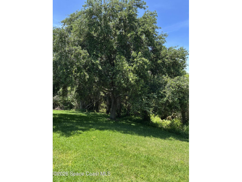 MUST SEE THIS HIDDEN GEM LOCATED IN QUITE COMMUNITY OF - photo 8