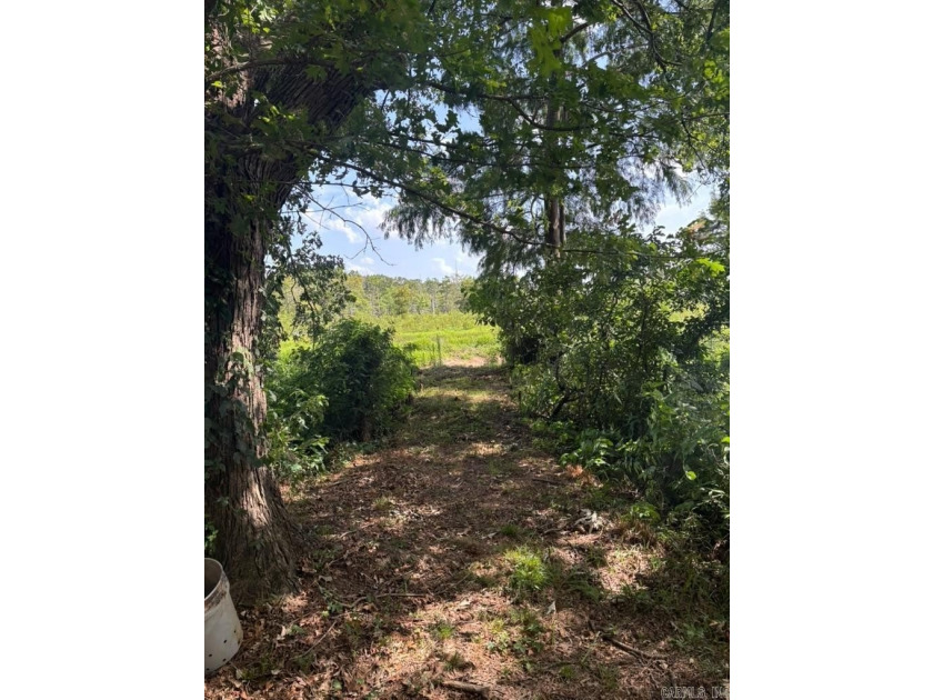 Rare Waterfront Opportunity: Ready-to-Build Parcels on Lake - photo 12