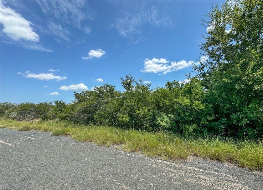Build Your Dream Home Near Choke Canyon State Park! Discover an - photo 6