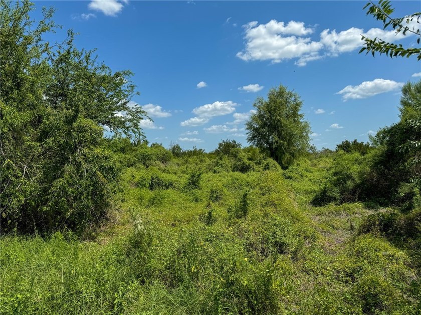 Build Your Dream Home Near Choke Canyon State Park! Discover an - photo 7