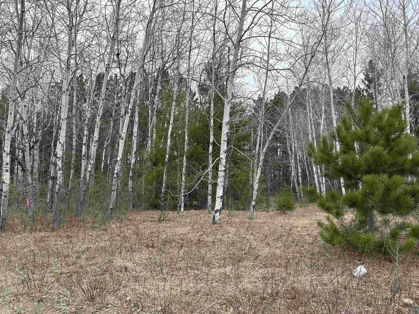 Lot 3 of 4 on North shore Dr, in Iron River WI. Build your dream - photo 11