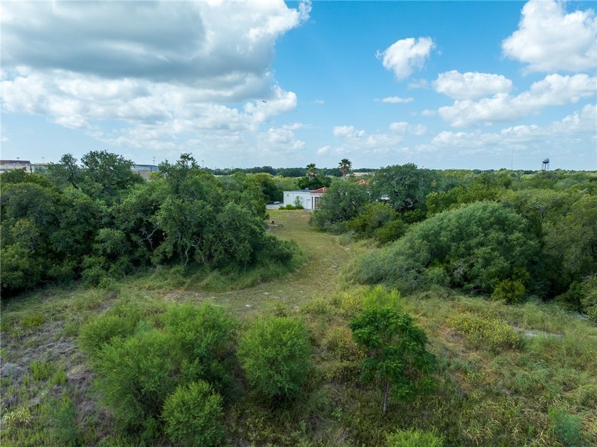 Endless Possibilities on Over 75 Acres - Prime Country Living - photo 8