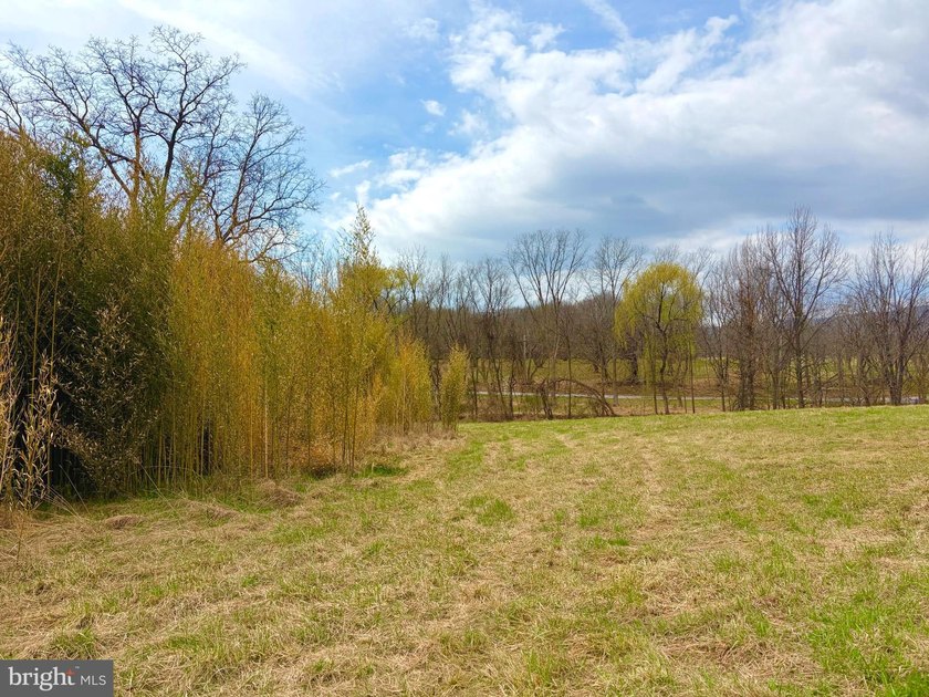 Experience a rare haven in the foothills of the Blue Ridge - photo 6
