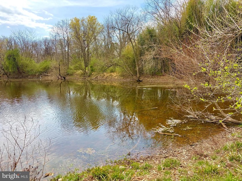 Experience a rare haven in the foothills of the Blue Ridge - photo 7