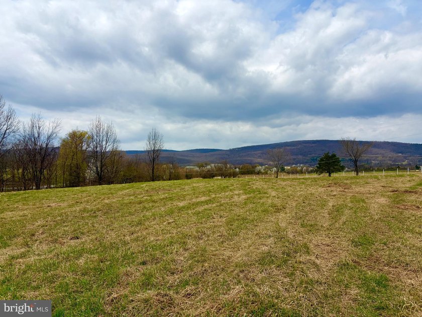 Experience a rare haven in the foothills of the Blue Ridge - photo 8