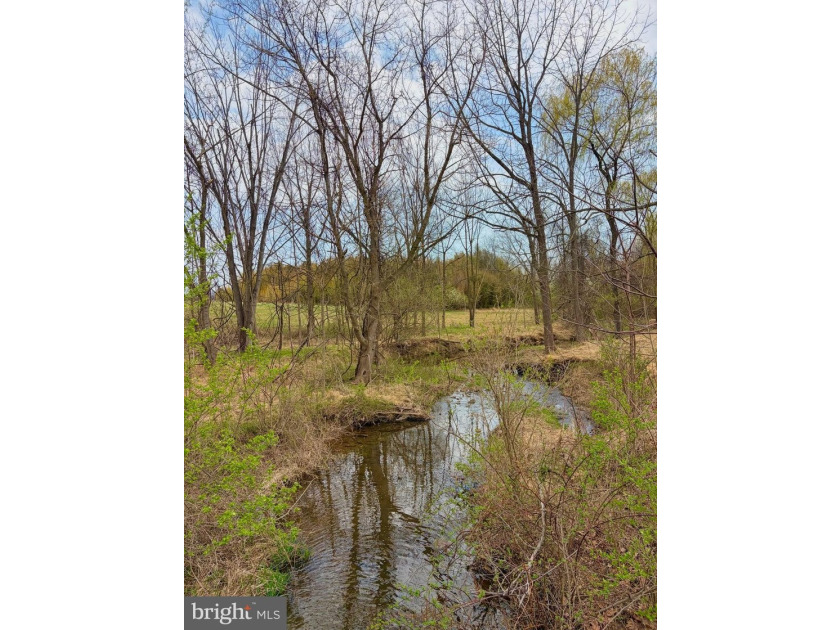 Experience a rare haven in the foothills of the Blue Ridge - photo 9