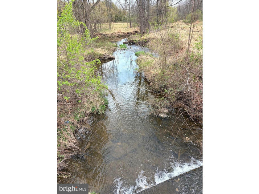 Experience a rare haven in the foothills of the Blue Ridge - photo 10