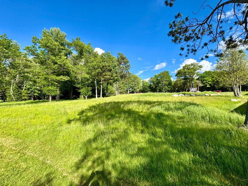 This is a unique lakefront property giving you diverse options - photo 13