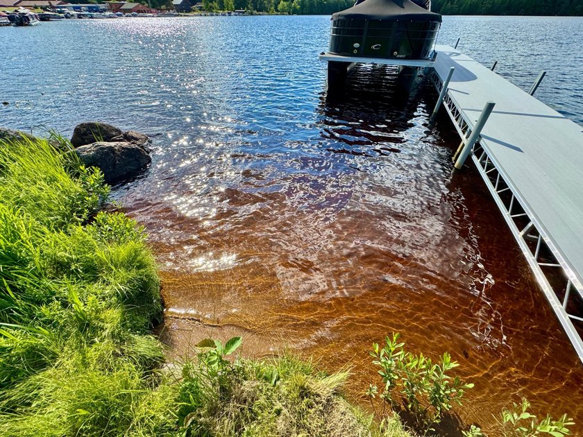 This is a unique lakefront property giving you diverse options - photo 18