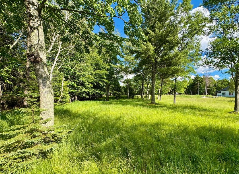 This is a unique lakefront property giving you diverse options - photo 20