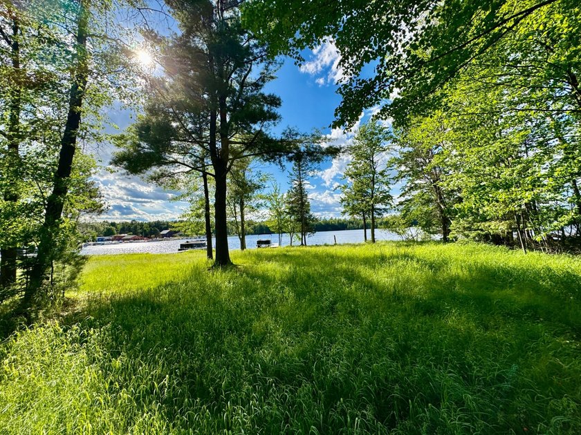 This is a unique lakefront property giving you diverse options - photo 21