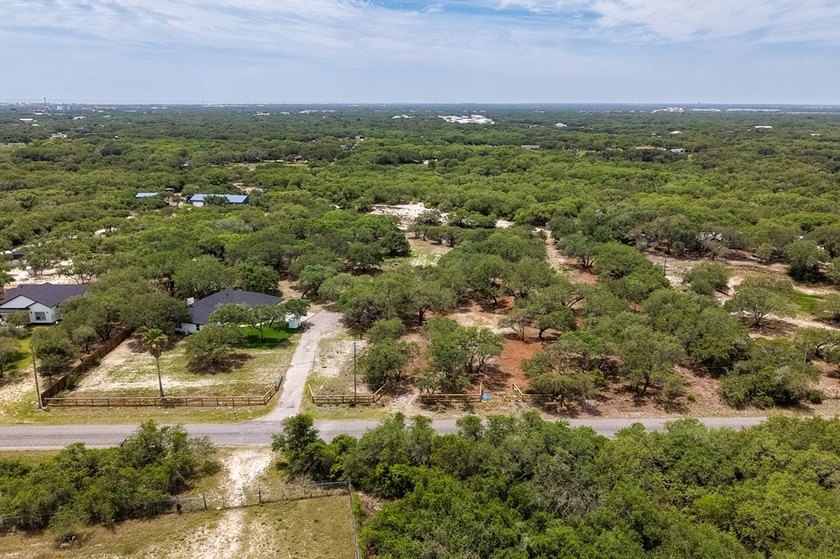Beautiful 3.38 acreage with trees sets back off of Wishert Rd - photo 7