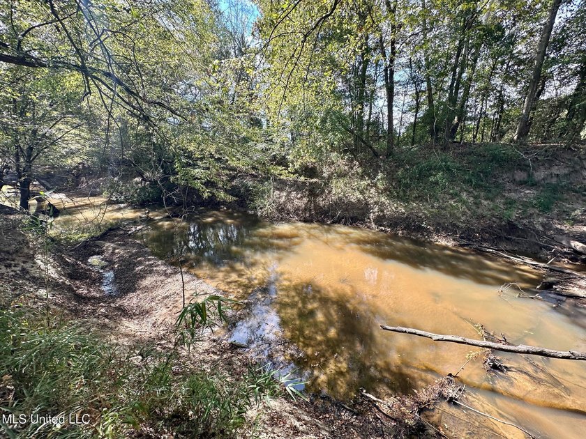 Tuscola Flats is a +/- 309 acre bottomland hunting tract located - photo 12