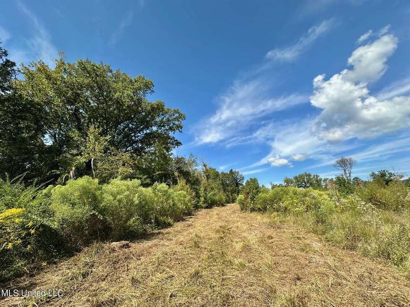 Tuscola Flats is a +/- 309 acre bottomland hunting tract located - photo 13