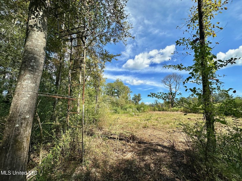 Tuscola Flats is a +/- 309 acre bottomland hunting tract located - photo 15