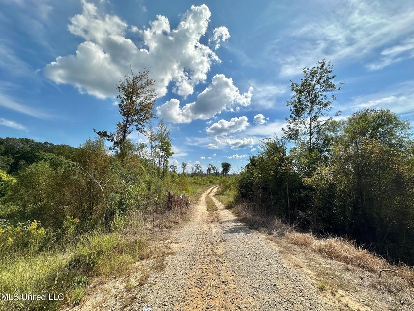 Tuscola Flats is a +/- 309 acre bottomland hunting tract located - photo 21