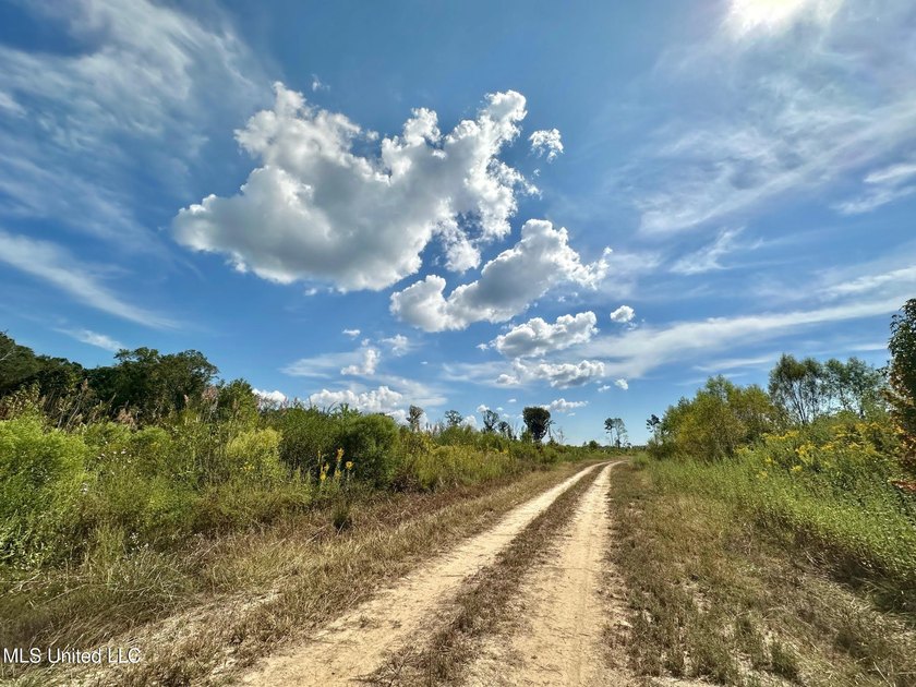 Tuscola Flats is a +/- 309 acre bottomland hunting tract located - photo 22