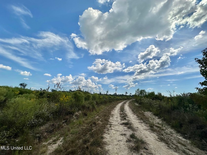 Tuscola Flats is a +/- 309 acre bottomland hunting tract located - photo 23