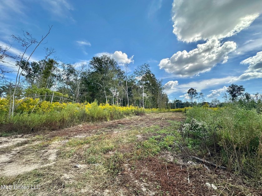 Tuscola Flats is a +/- 309 acre bottomland hunting tract located - photo 26
