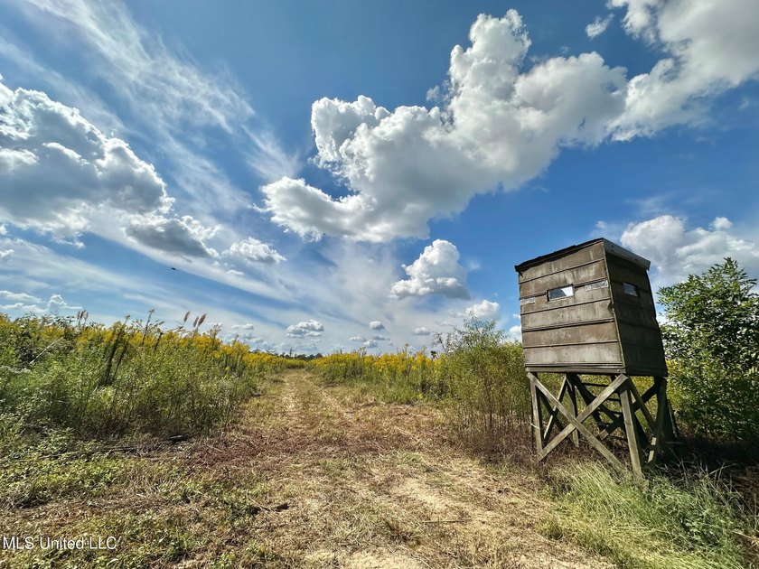 Tuscola Flats is a +/- 309 acre bottomland hunting tract located - photo 29