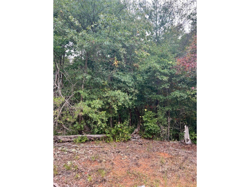Great buildable lot on LAKE HARTWELL in a cove in Hidden Lakes - photo 2