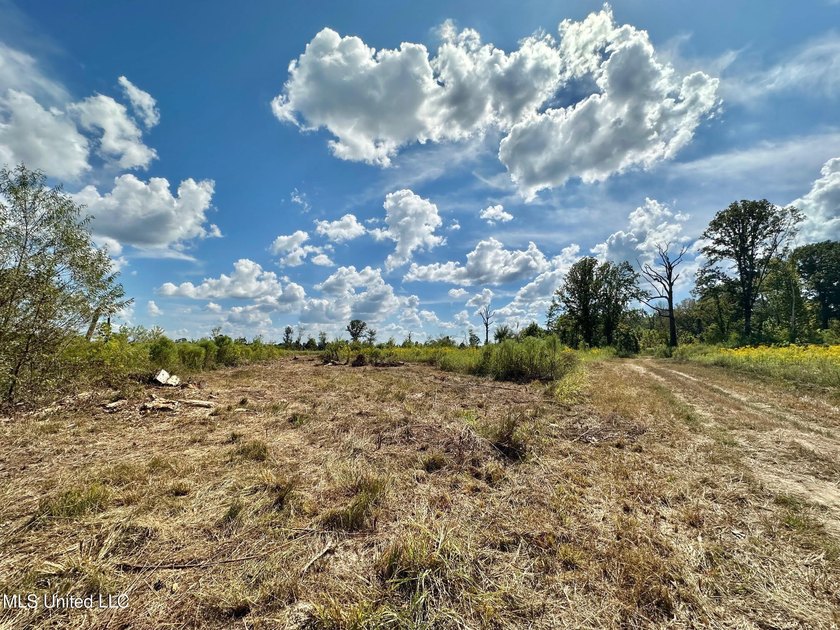 Tuscola Flats is a +/- 309 acre bottomland hunting tract located - photo 33