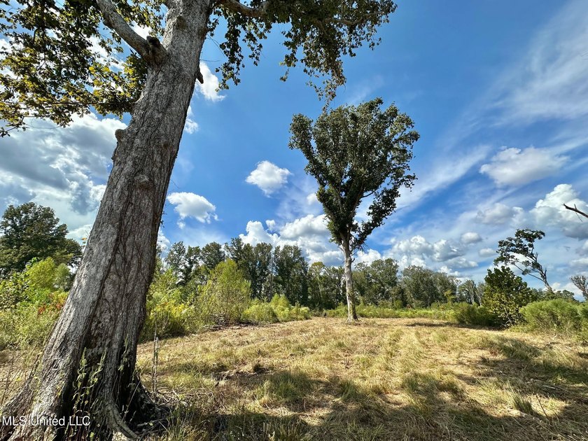 Tuscola Flats is a +/- 309 acre bottomland hunting tract located - photo 34
