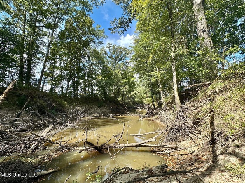 Tuscola Flats is a +/- 309 acre bottomland hunting tract located - photo 36