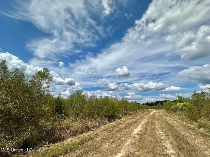 Tuscola Flats is a +/- 309 acre bottomland hunting tract located - photo 39