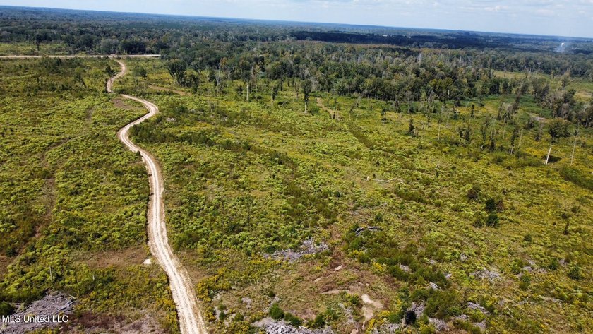 Tuscola Flats is a +/- 309 acre bottomland hunting tract located - photo 46